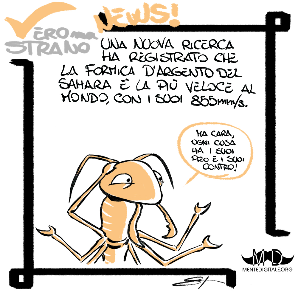 Vero Ma Strano News! #33