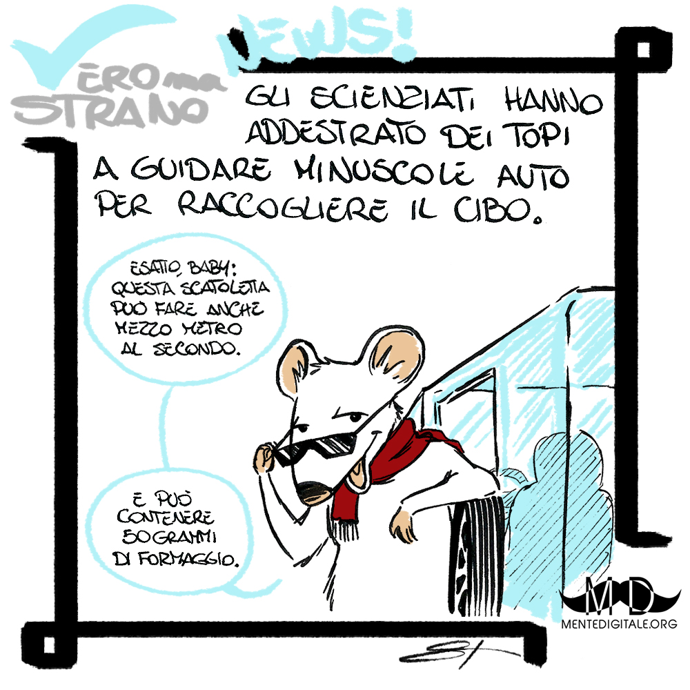 Vero Ma Strano News! #34
