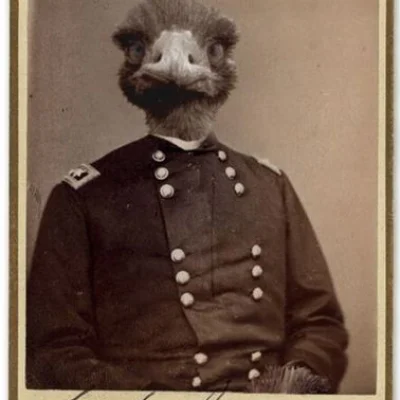 emu_commander